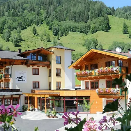 Gut Römerhof Apartment Altenmarkt im Pongau