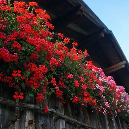 Gut Roemerhof Lejlighed Altenmarkt im Pongau