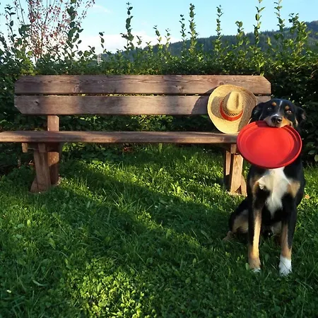 Gut Roemerhof Altenmarkt im Pongau