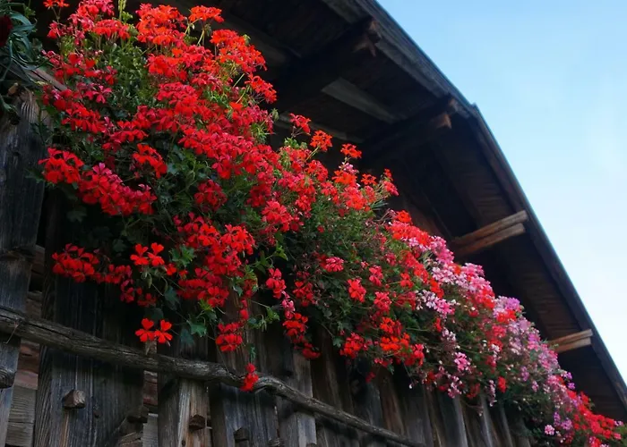 Gut Römerhof Lägenhet Altenmarkt im Pongau