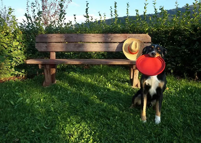 Gut Römerhof Altenmarkt im Pongau